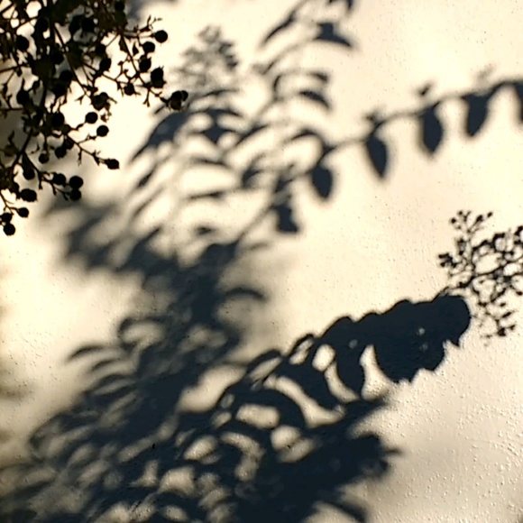 Meet your Posher, Linh - Picture 1 of 1